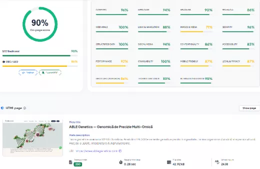 Audit SEO - Optimizare SEO