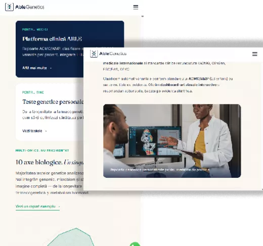 Web desing responsive