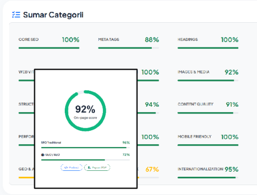 SEO Checker -  Audit SEO general