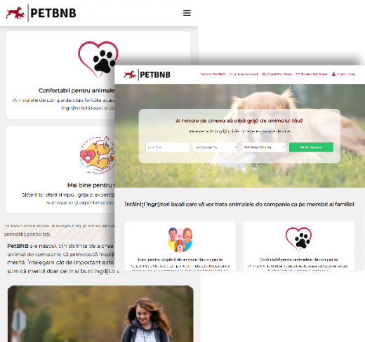 Web desing responsive